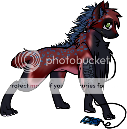 User Image